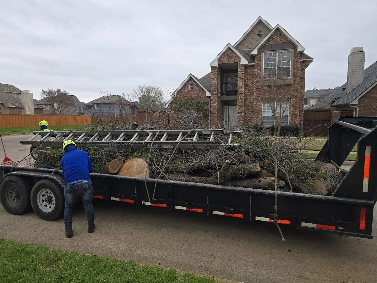 Expert Lot Clearing with proper safety equipment in Hampton